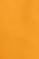 Amber swim shorts with Polo Club detail
