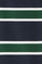 Striped T-shirt Carter in navy blue and bottle green with Polo Club branded patch