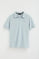 Light-blue micro-structured cotton polo shirt with Rigby Go embroidery