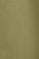 Leaf-green shirt with slim fit and Rigby Go logo